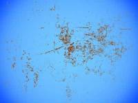 limpieza de garaje Madrid