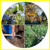 Empresa de Jardineria Madrid